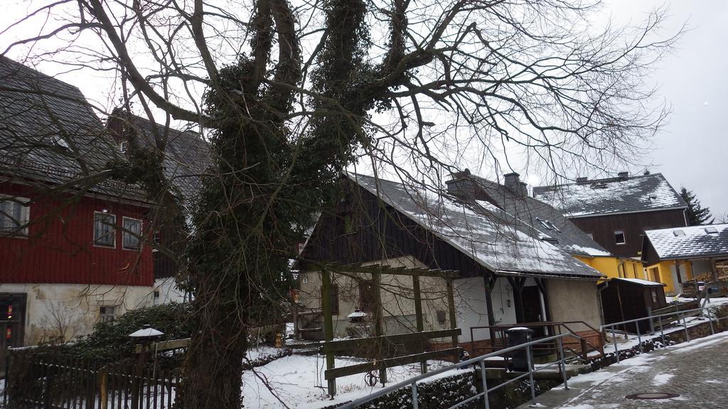Villa Berghaus Frieda Altenberg  Exterior foto